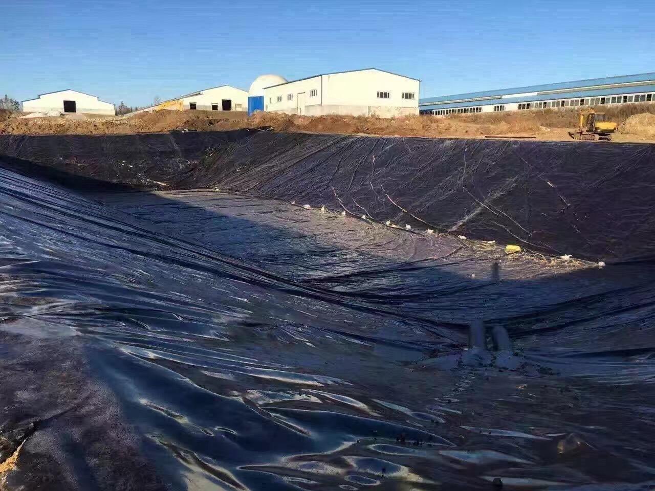 水库铺设午夜神马福利膜底部垫层15cm细沙的作用？