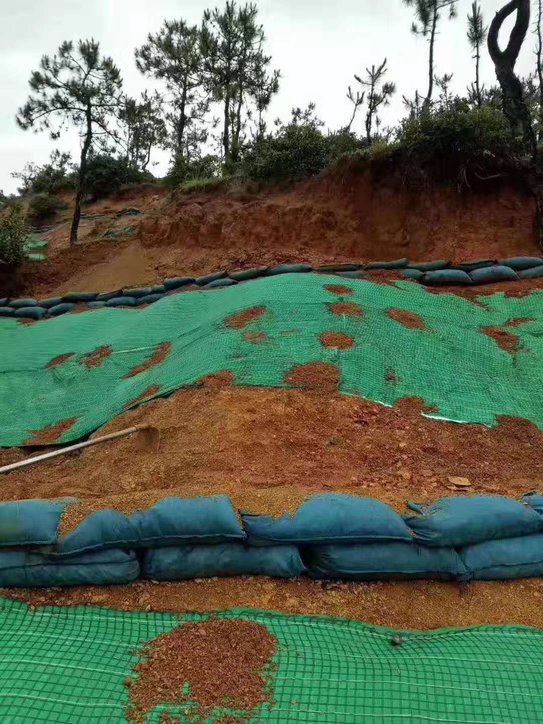 新型午夜神马福利材料护坡建“会呼吸”的生态驳岸