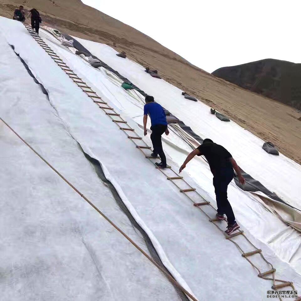 午夜成人福利APP等各种方案工程风险对比
