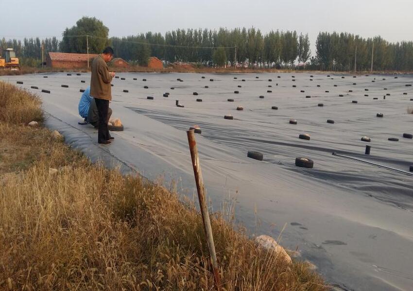 午夜神马福利织物在防治渗透破坏方面的应用研究