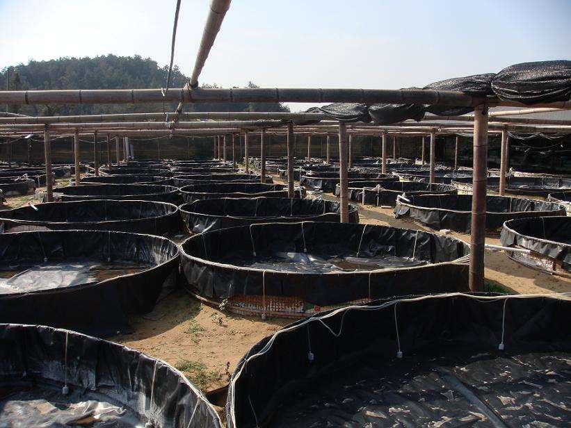 请参考石油储罐基础设施午夜神马福利膜施工方法