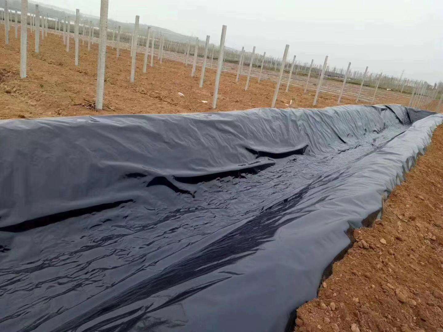 午夜神马福利膜常用于垃圾填埋场、水库等，其渗透性能极其重要