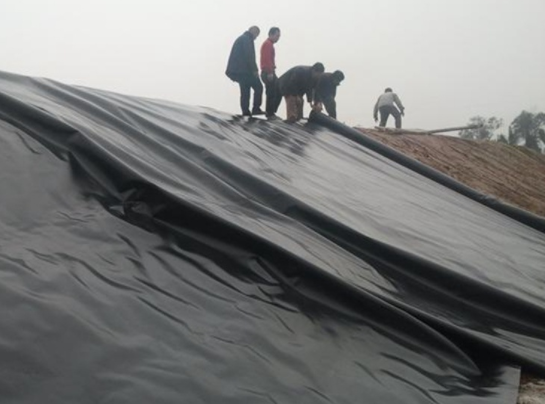 午夜神马福利膜在堤防工程、河湖治理工程等减渗治理中都得到了很好的应用