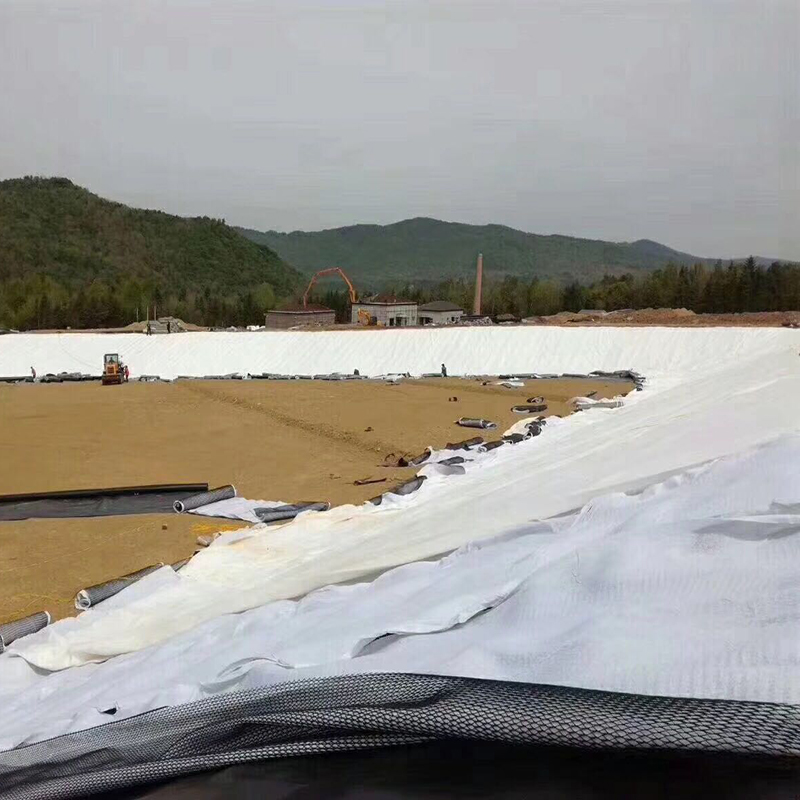 设计容积50万m3的调蓄水池防渗体采用方式？